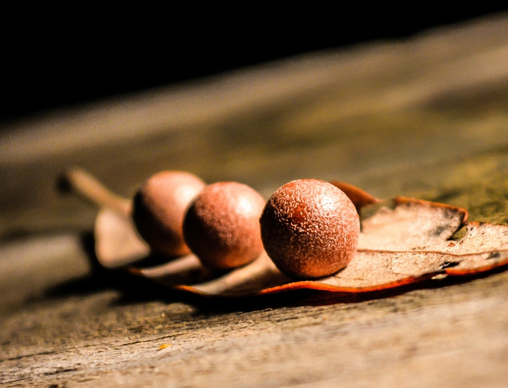 秒充秒发货的手机号轰炸测试